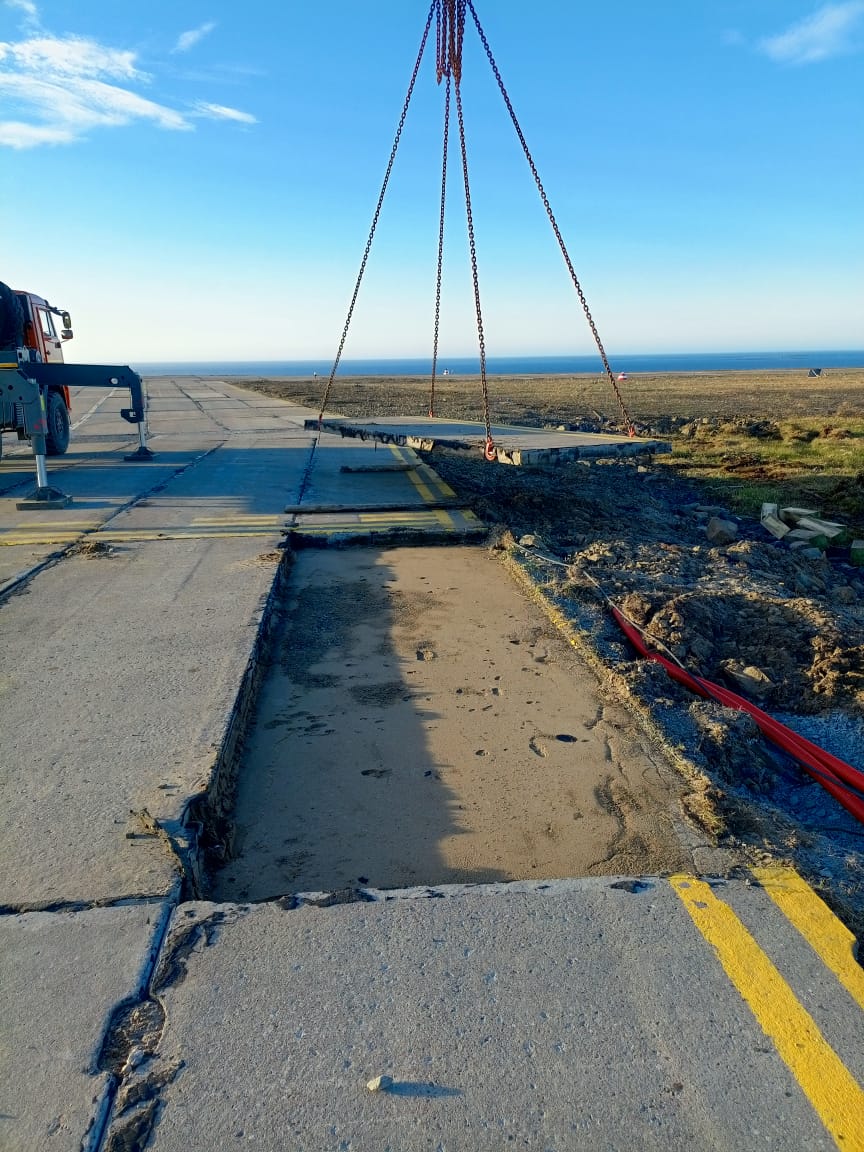 Apples in a factory conveyor belt.